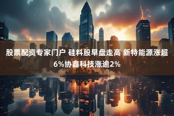 股票配资专家门户 硅料股早盘走高 新特能源涨超6%协鑫科技涨逾2%