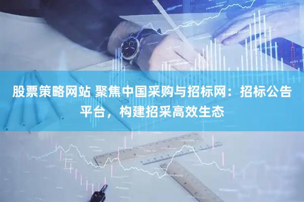 股票策略网站 聚焦中国采购与招标网：招标公告平台，构建招采高效生态